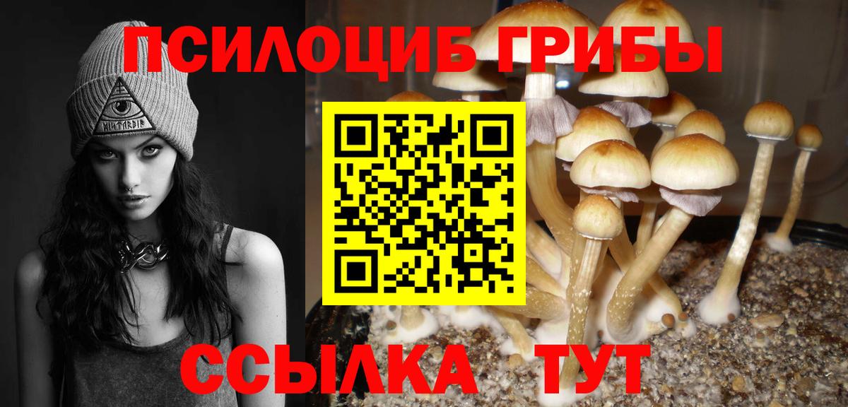 Керчь  Псилоцибиновые грибы MAGIC MUSHROOMS  Вход с VPN 